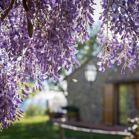 Le Cetinelle Guest House Greve in Chianti Exterior photo