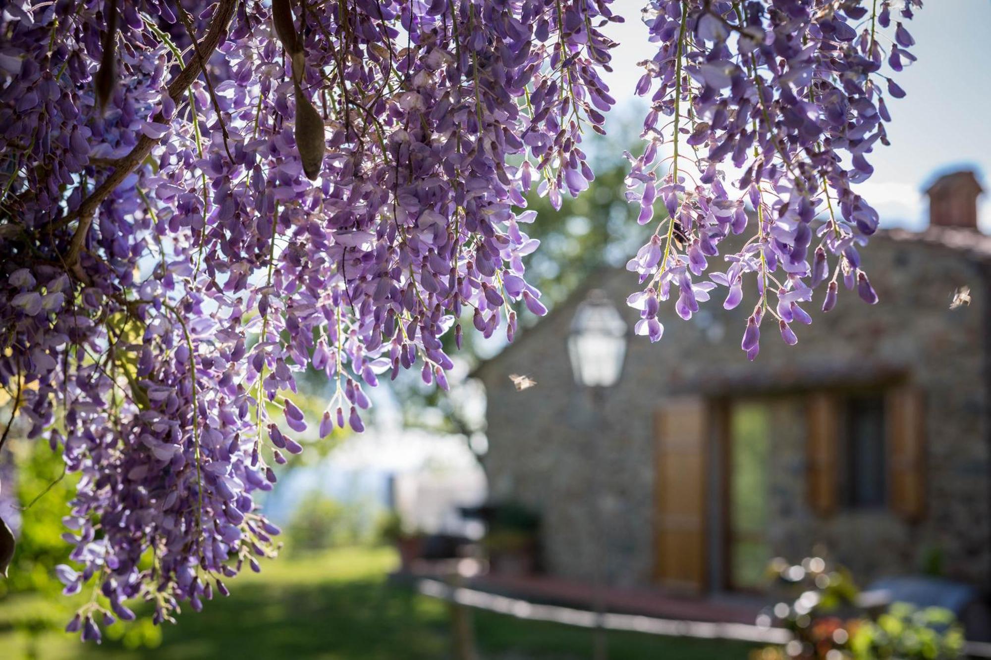 Le Cetinelle Guest House Greve in Chianti Exterior photo